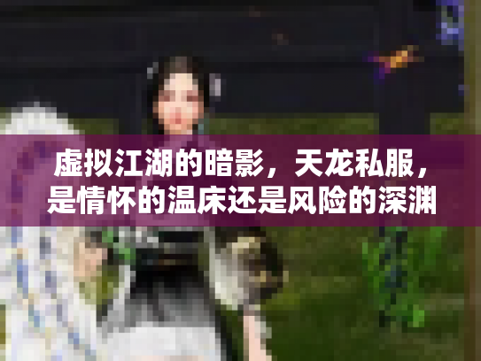 虚拟江湖的暗影，天龙私服，是情怀的温床还是风险的深渊？
