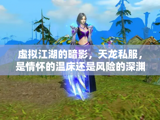 虚拟江湖的暗影，天龙私服，是情怀的温床还是风险的深渊？