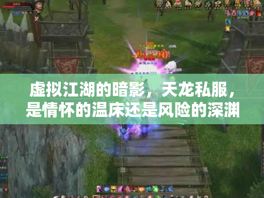 虚拟江湖的暗影，天龙私服，是情怀的温床还是风险的深渊？