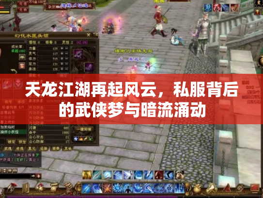 天龙江湖再起风云，私服背后的武侠梦与暗流涌动