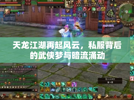天龙江湖再起风云，私服背后的武侠梦与暗流涌动