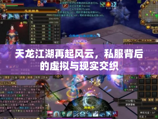 天龙江湖再起风云，私服背后的虚拟与现实交织