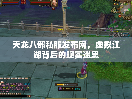 天龙八部私服发布网，虚拟江湖背后的现实迷思