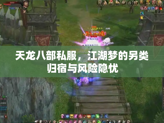天龙八部私服，江湖梦的另类归宿与风险隐忧