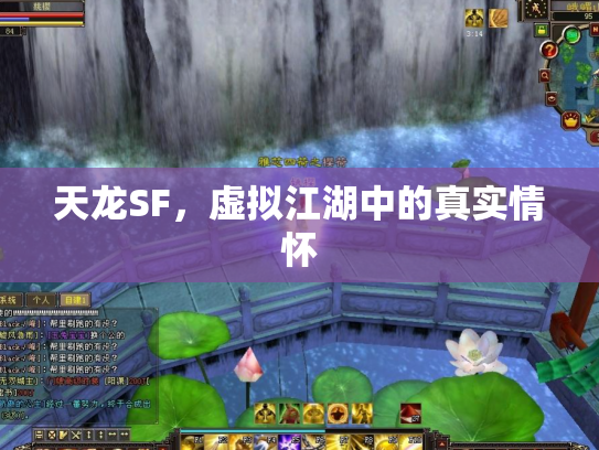 天龙SF，虚拟江湖中的真实情怀
