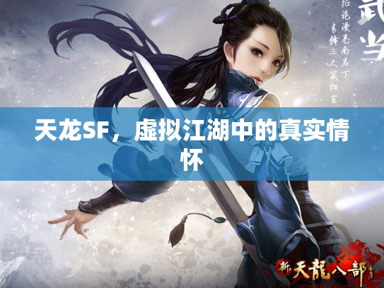 天龙SF，虚拟江湖中的真实情怀
