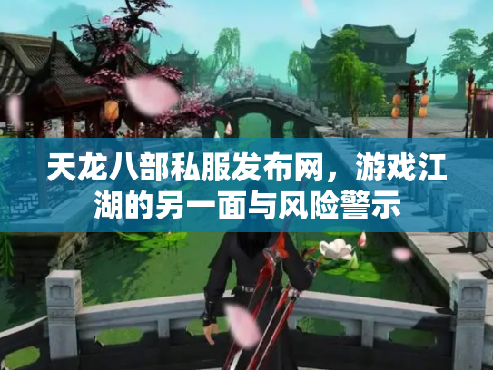 天龙八部私服发布网，游戏江湖的另一面与风险警示