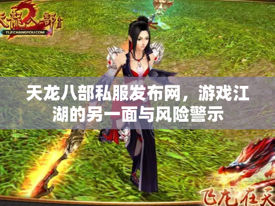 天龙八部私服发布网，游戏江湖的另一面与风险警示