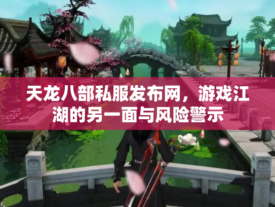 天龙八部私服发布网，游戏江湖的另一面与风险警示