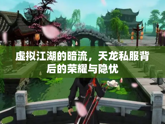 虚拟江湖的暗流，天龙私服背后的荣耀与隐忧