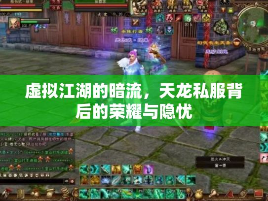虚拟江湖的暗流，天龙私服背后的荣耀与隐忧