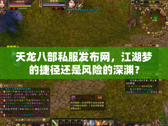 天龙八部私服发布网，江湖梦的捷径还是风险的深渊？