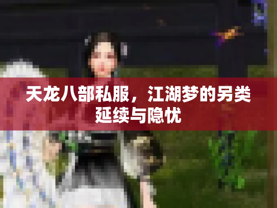天龙八部私服，江湖梦的另类延续与隐忧