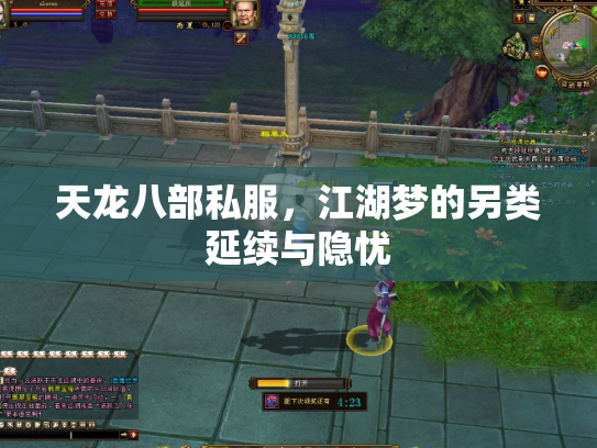 天龙八部私服，江湖梦的另类延续与隐忧