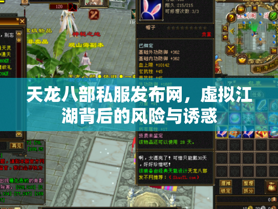 天龙八部私服发布网，虚拟江湖背后的风险与诱惑