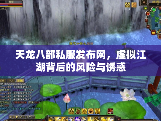 天龙八部私服发布网，虚拟江湖背后的风险与诱惑