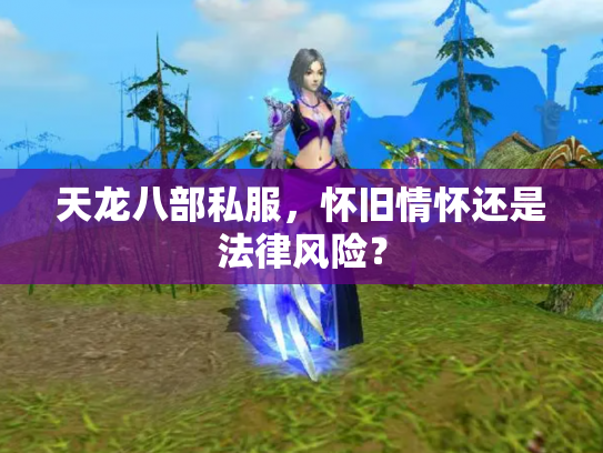 天龙八部私服，怀旧情怀还是法律风险？