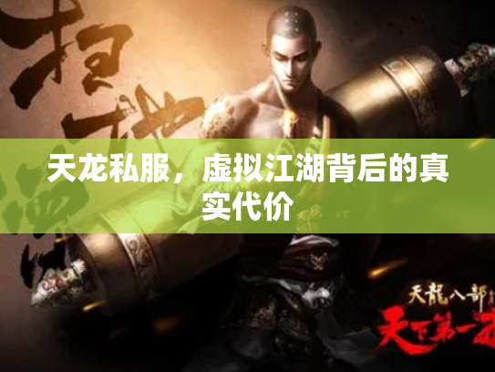 天龙私服，虚拟江湖背后的真实代价