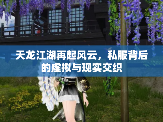 天龙江湖再起风云，私服背后的虚拟与现实交织
