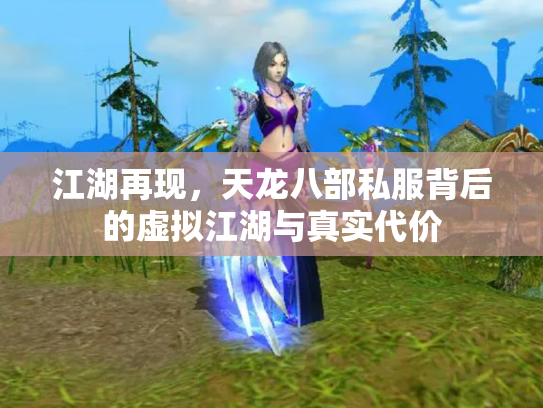 江湖再现，天龙八部私服背后的虚拟江湖与真实代价