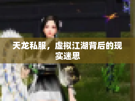天龙私服，虚拟江湖背后的现实迷思