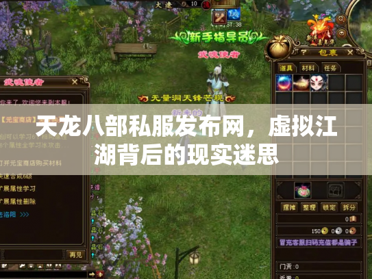 天龙八部私服发布网，虚拟江湖背后的现实迷思
