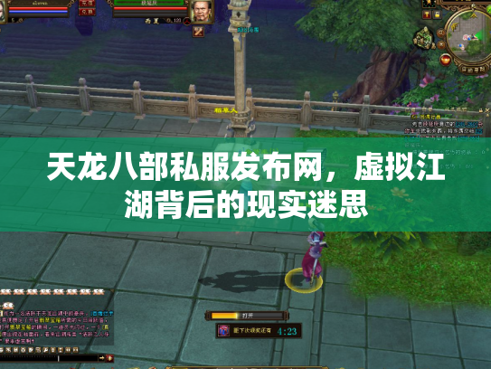 天龙八部私服发布网，虚拟江湖背后的现实迷思