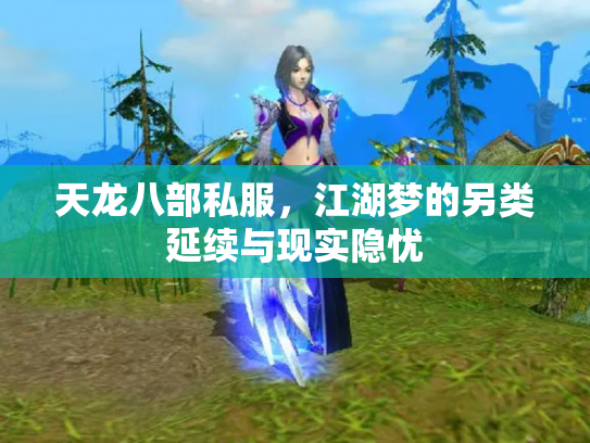 天龙八部私服，江湖梦的另类延续与现实隐忧
