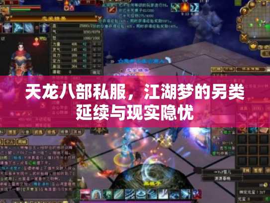 天龙八部私服，江湖梦的另类延续与现实隐忧