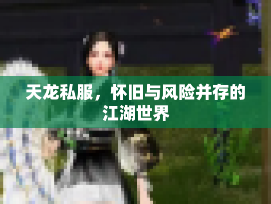 天龙私服，怀旧与风险并存的江湖世界