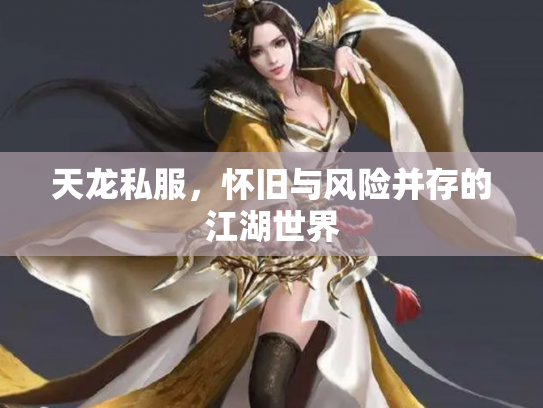 天龙私服，怀旧与风险并存的江湖世界