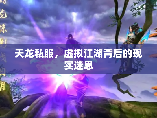 天龙私服，虚拟江湖背后的现实迷思