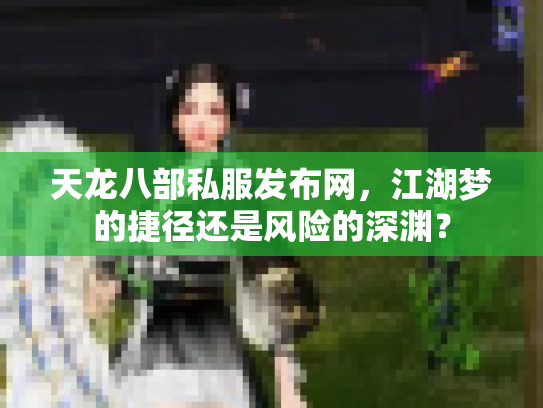 天龙八部私服发布网，江湖梦的捷径还是风险的深渊？