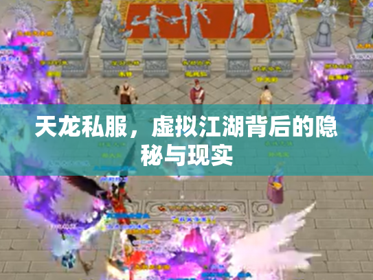 天龙私服，虚拟江湖背后的隐秘与现实