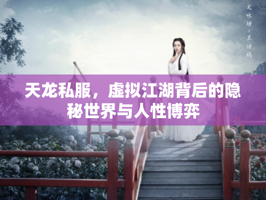 天龙私服，虚拟江湖背后的隐秘世界与人性博弈