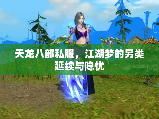 天龙八部私服，江湖梦的另类延续与隐忧