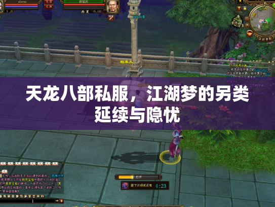 天龙八部私服，江湖梦的另类延续与隐忧