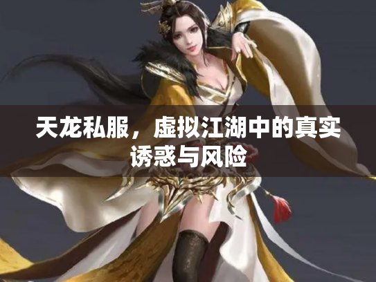 天龙私服，虚拟江湖中的真实诱惑与风险