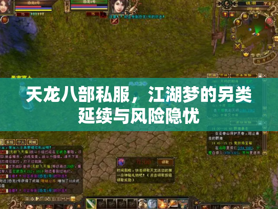 天龙八部私服，江湖梦的另类延续与风险隐忧