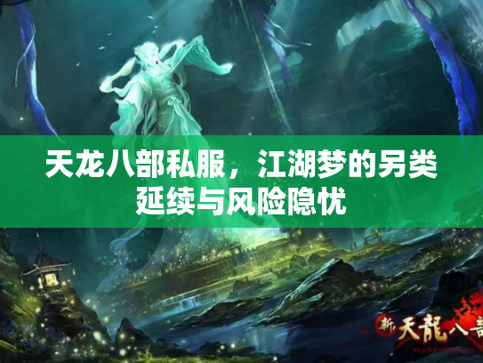 天龙八部私服，江湖梦的另类延续与风险隐忧