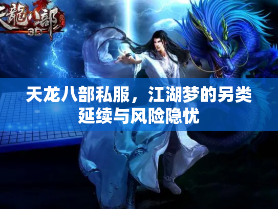 天龙八部私服，江湖梦的另类延续与风险隐忧