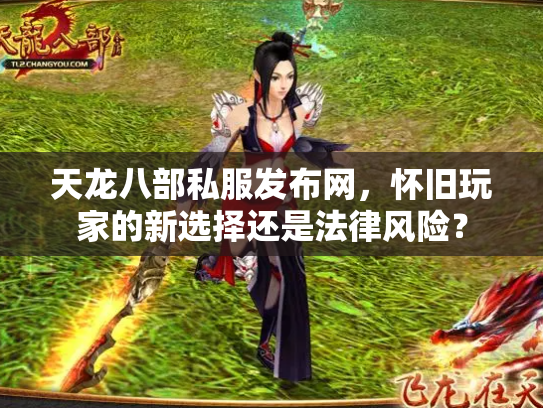 天龙八部私服发布网，怀旧玩家的新选择还是法律风险？