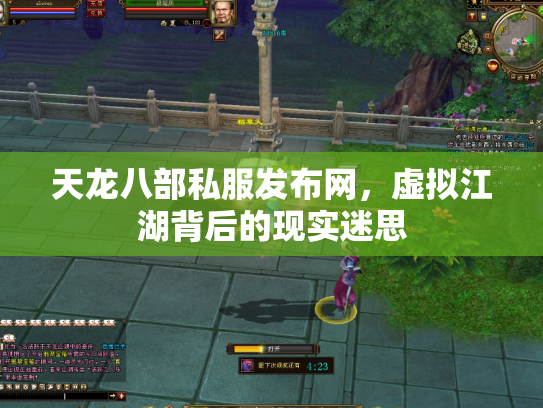 天龙八部私服发布网，虚拟江湖背后的现实迷思