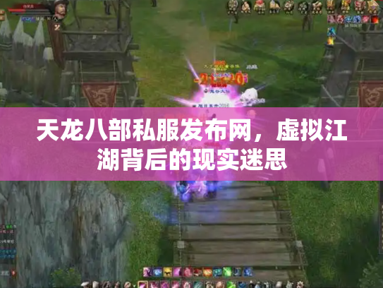 天龙八部私服发布网，虚拟江湖背后的现实迷思