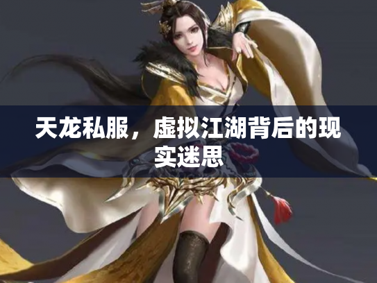 天龙私服，虚拟江湖背后的现实迷思