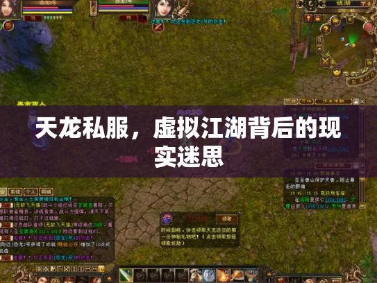 天龙私服，虚拟江湖背后的现实迷思