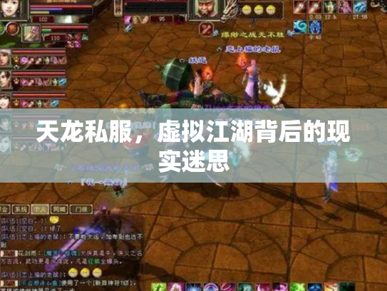 天龙私服，虚拟江湖背后的现实迷思