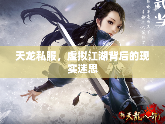 天龙私服，虚拟江湖背后的现实迷思