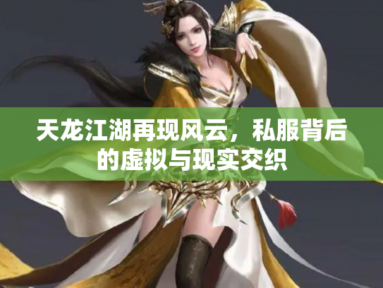 天龙江湖再现风云，私服背后的虚拟与现实交织