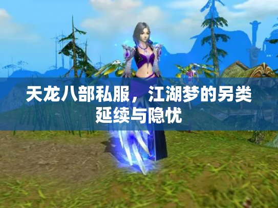 天龙八部私服，江湖梦的另类延续与隐忧